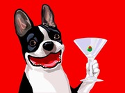 bostonmartini mini
